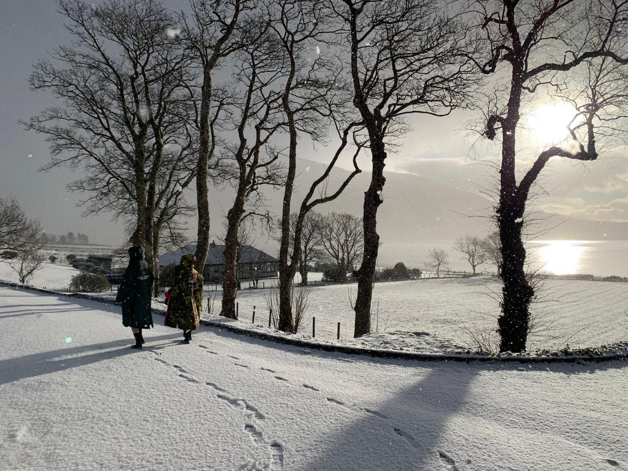 Ash, Birch And Rowan Self Catering Cabins オニック エクステリア 写真