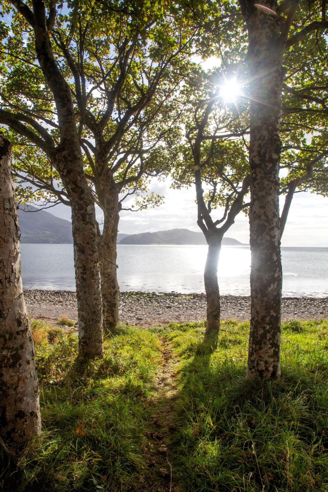 Ash, Birch And Rowan Self Catering Cabins オニック エクステリア 写真